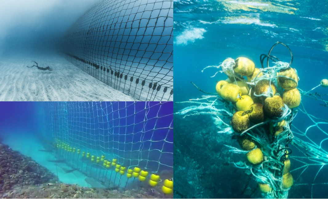 the non-lethal nets were a failure on the island of Reunion. Installed in December 2015, they were gradually abandoned after 2 indoor attacks on August 27, 2016 and June 18, 2017. They were destroyed by the swell. more than 4 million euros have been spent. Currently the company that developed this concept is suing the city hall claiming € 700,000 in damages